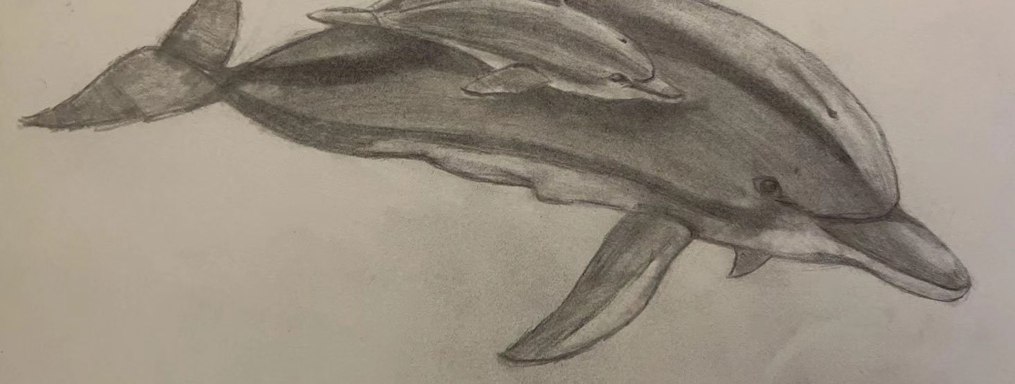 class foundation of drawing